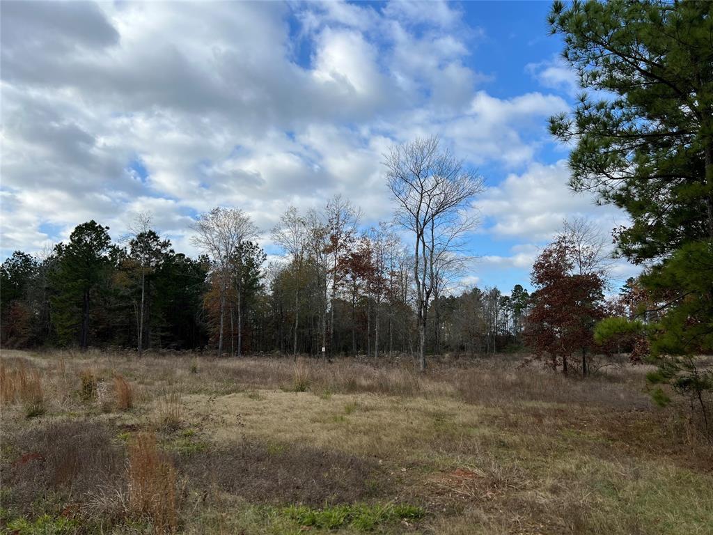01 Pinehurst Rd Property Photo 1