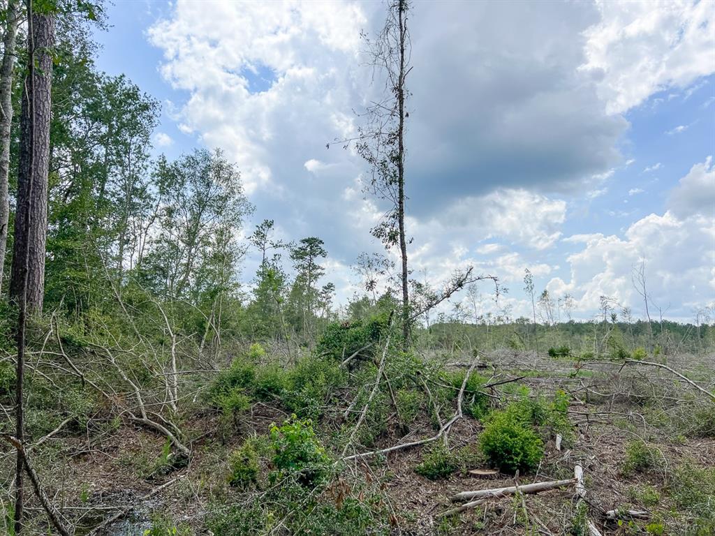 0 Old Honey Island Road Property Photo 5