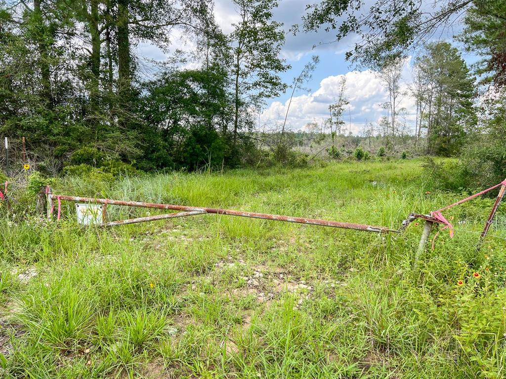 0 Old Honey Island Road Property Photo 6