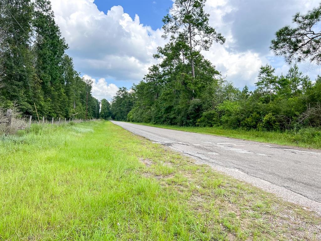 0 Old Honey Island Road Property Photo 7