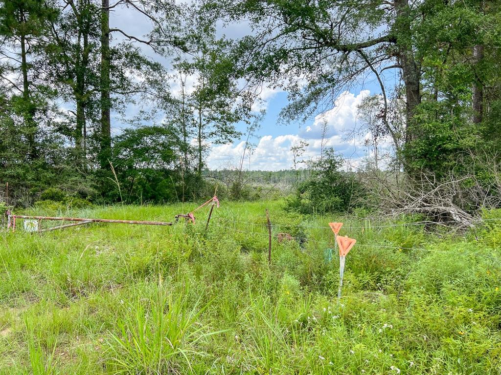 0 Old Honey Island Road Property Photo 8