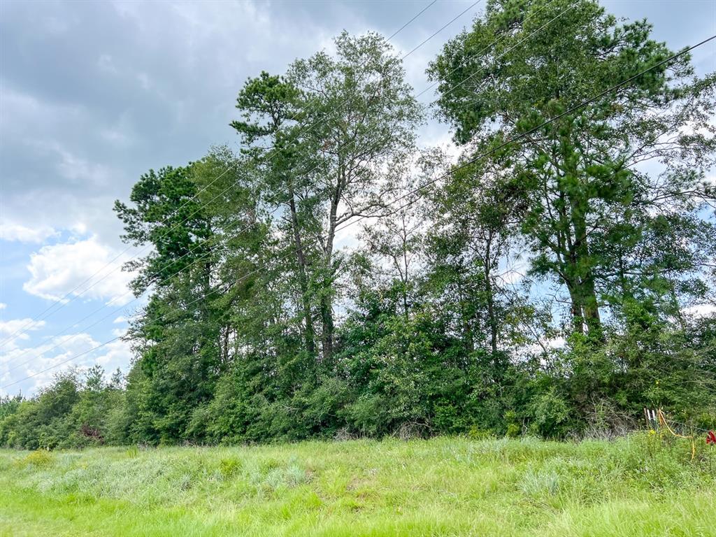 0 Old Honey Island Road Property Photo 9