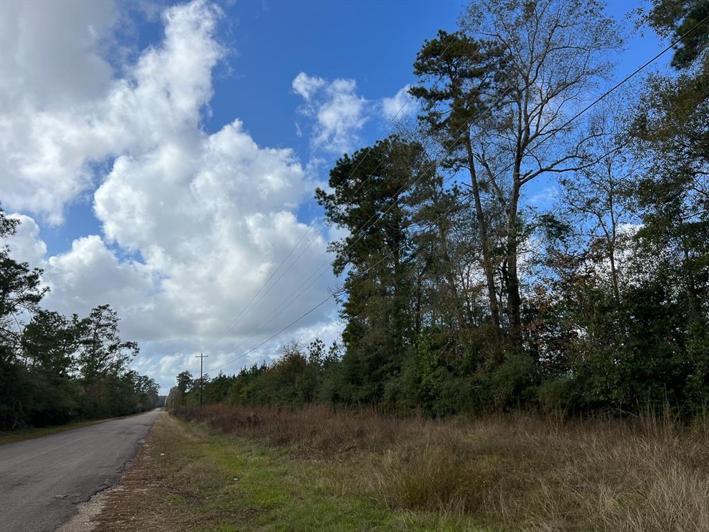 0 Old Honey Island Road Property Photo 10