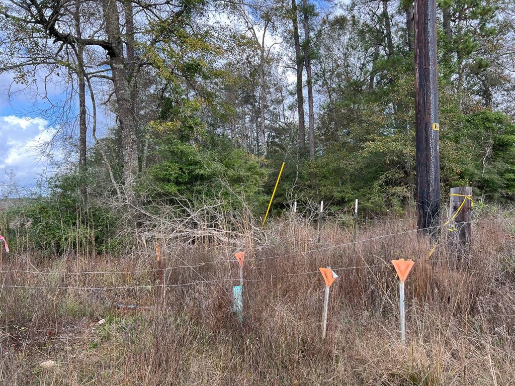 0 Old Honey Island Road Property Photo 11