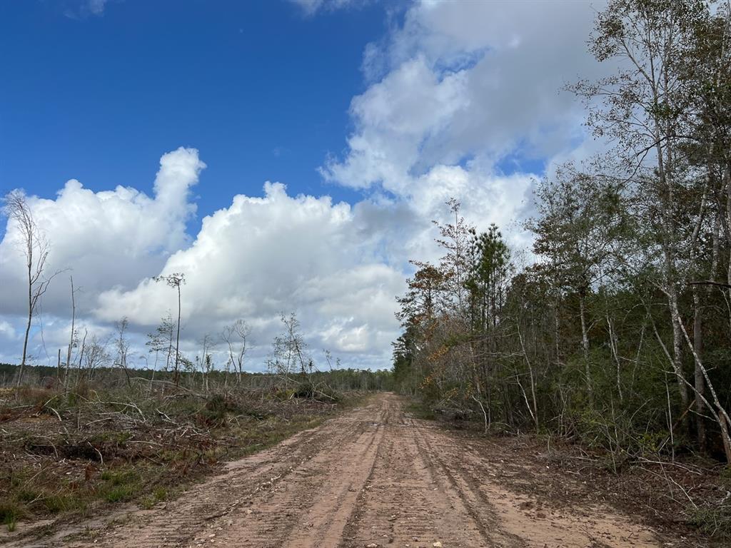 0 Old Honey Island Road Property Photo 12