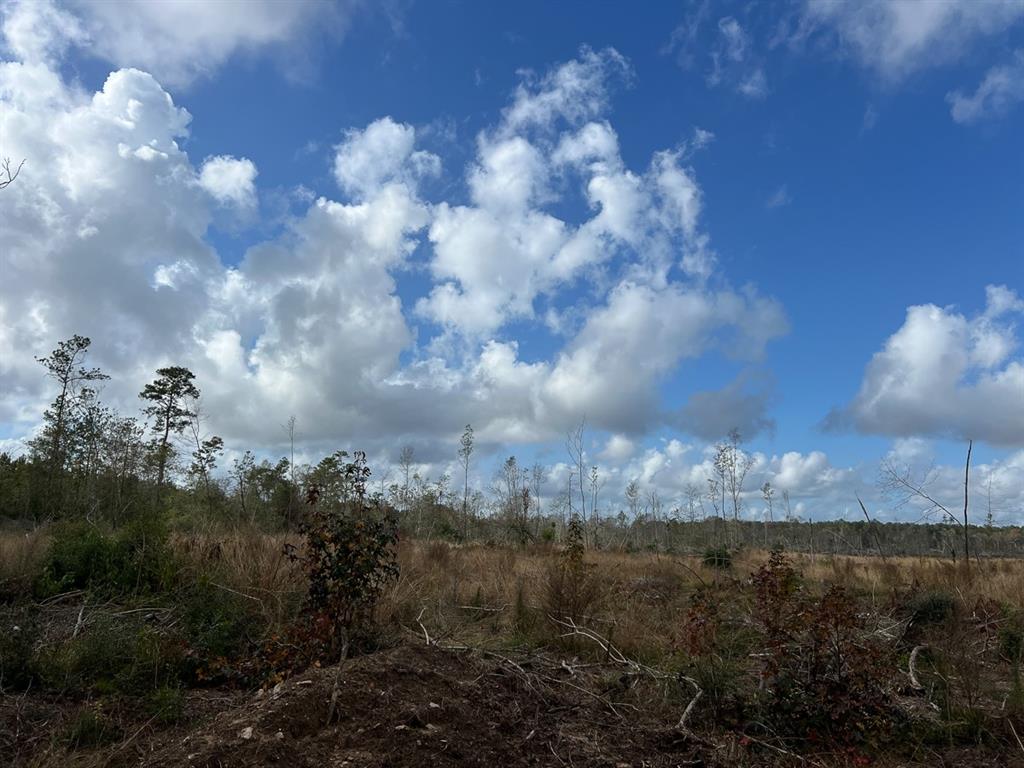 0 Old Honey Island Road Property Photo 14