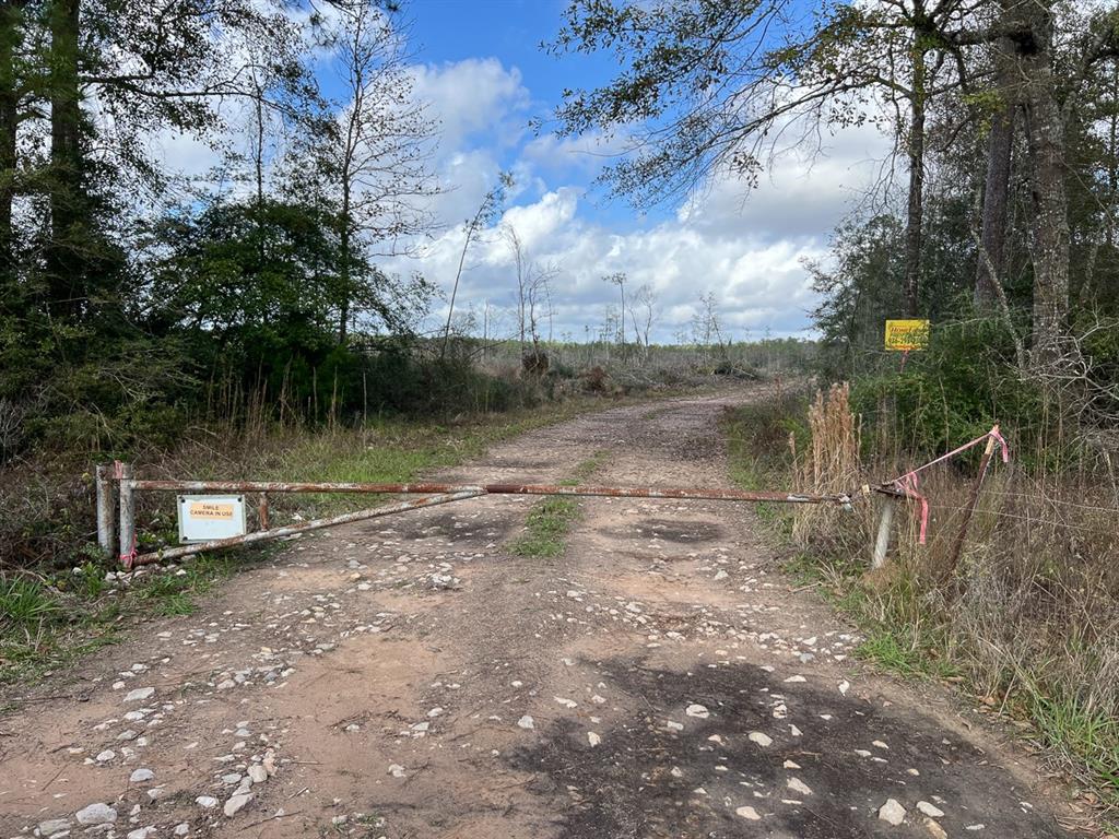 0 Old Honey Island Road Property Photo 15