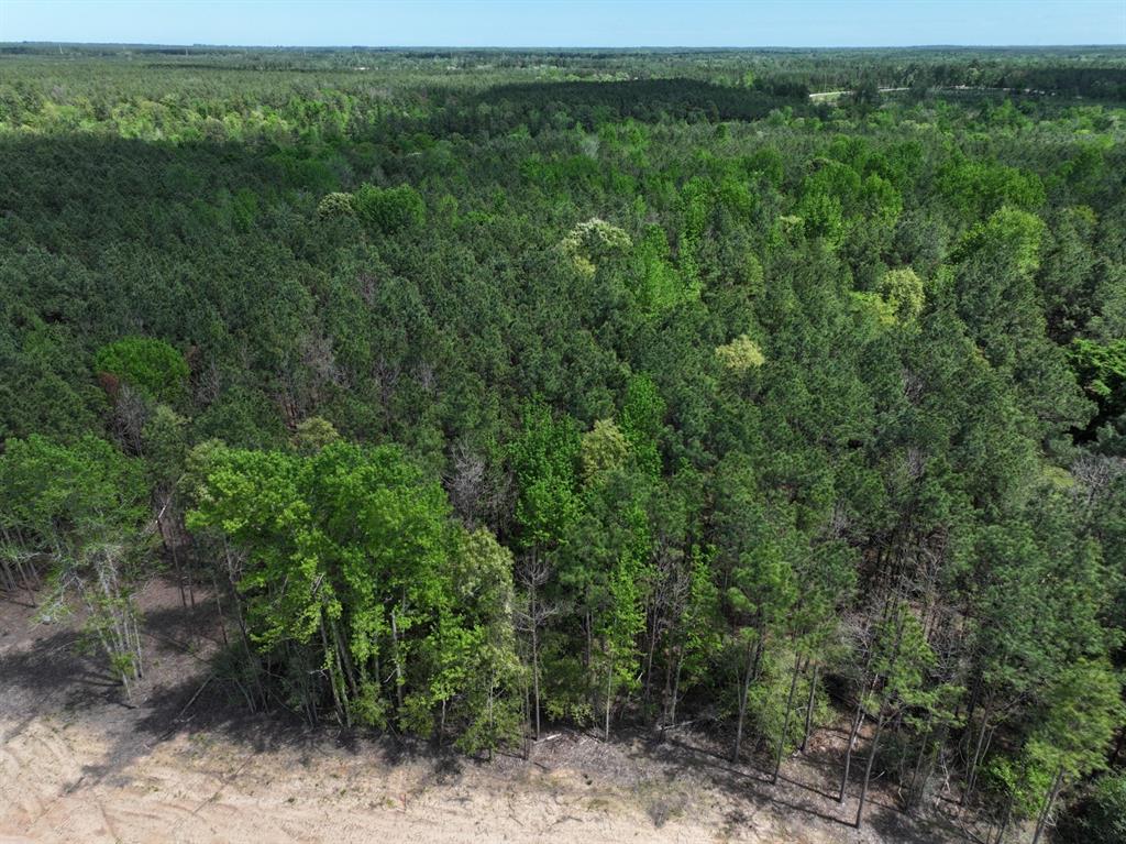 Tbd Williamson Way Property Photo 3