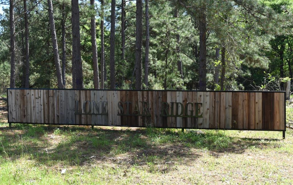 Tbd Williamson Way Property Photo 4