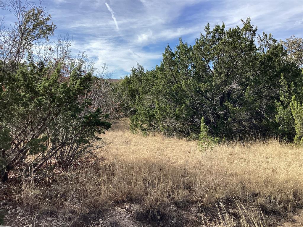 Tbd Private Road 2180 Property Photo 12