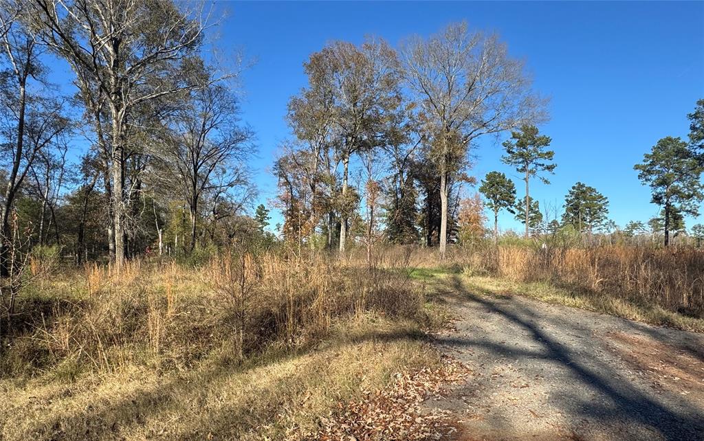 0 Locust Hill Road Property Photo