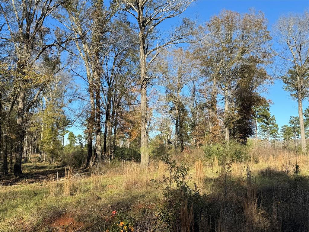 0 Locust Hill Road Property Photo 2