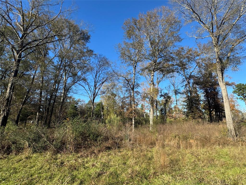 0 Locust Hill Road Property Photo 3