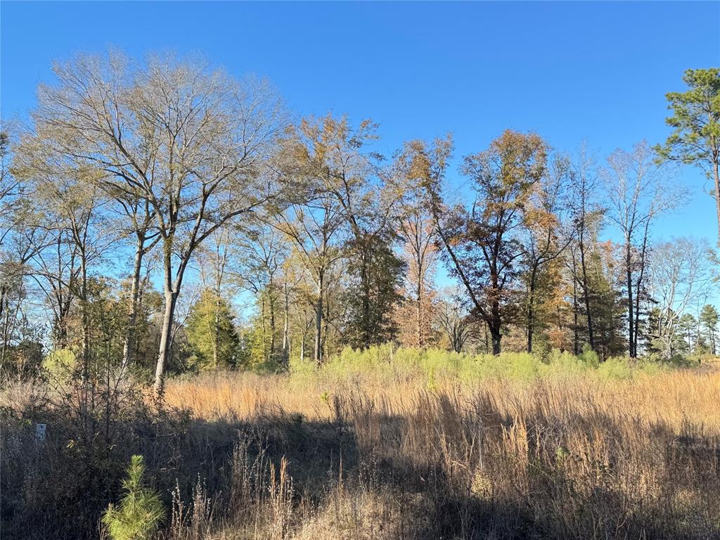 0 Locust Hill Road Property Photo 4