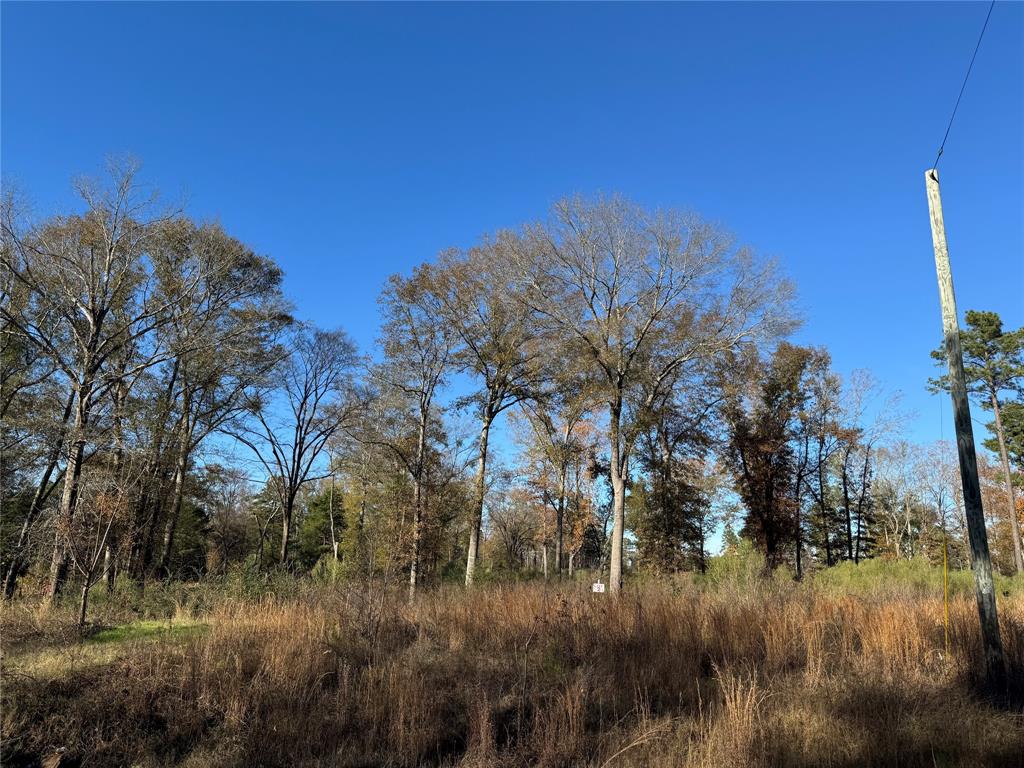 0 Locust Hill Road Property Photo 6