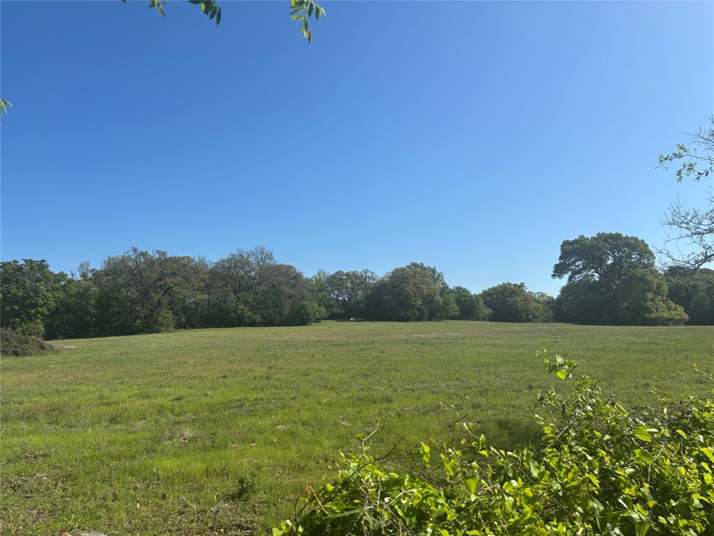 1800 Patterson Rd Property Photo 3