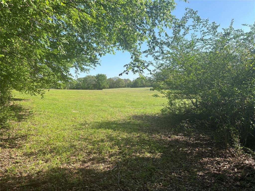 1800 Patterson Rd Property Photo 5