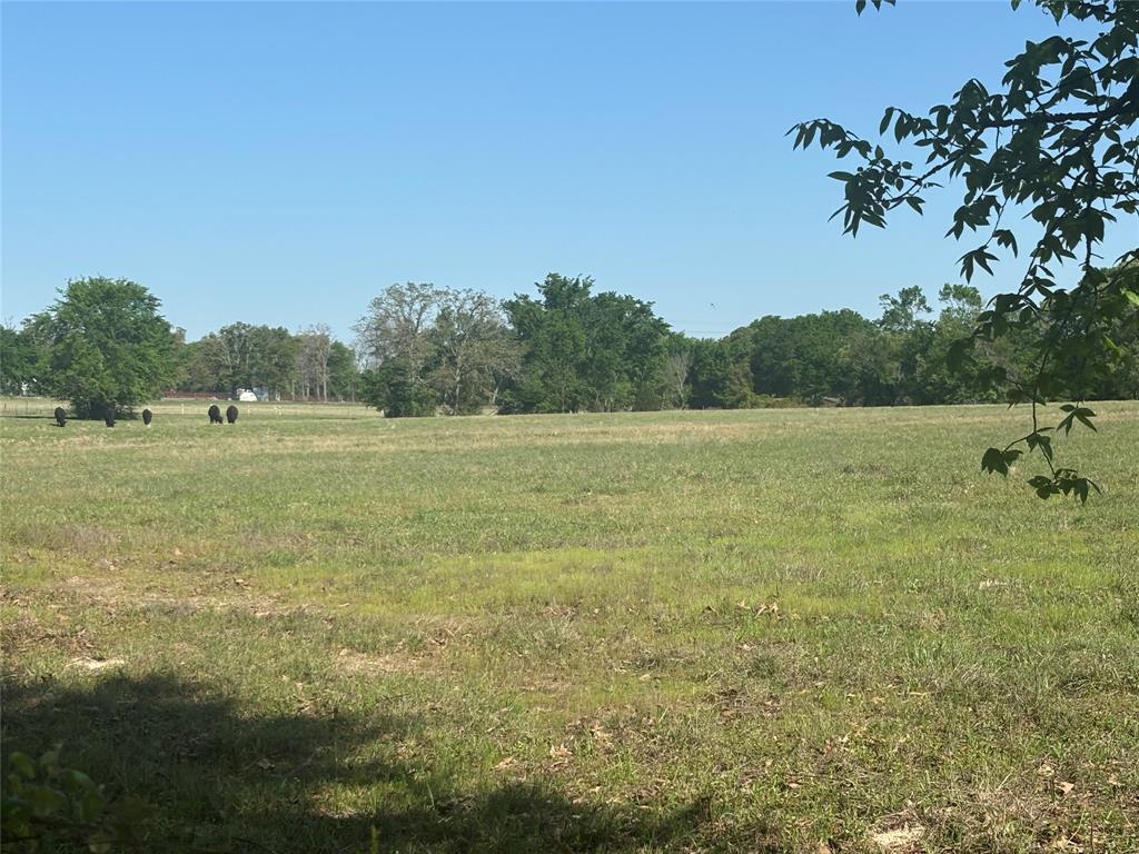 1800 Patterson Rd Property Photo 7