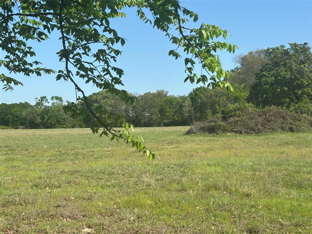 1800 Patterson Rd Property Photo 8