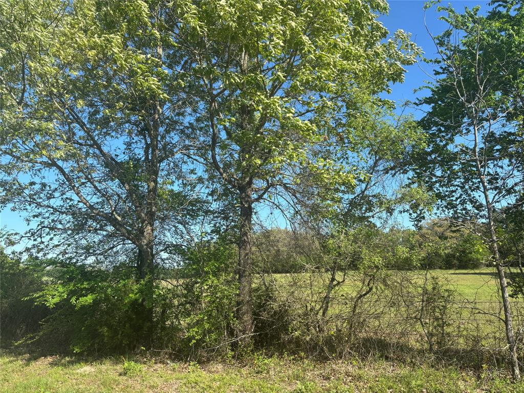 1800 Patterson Rd Property Photo 9