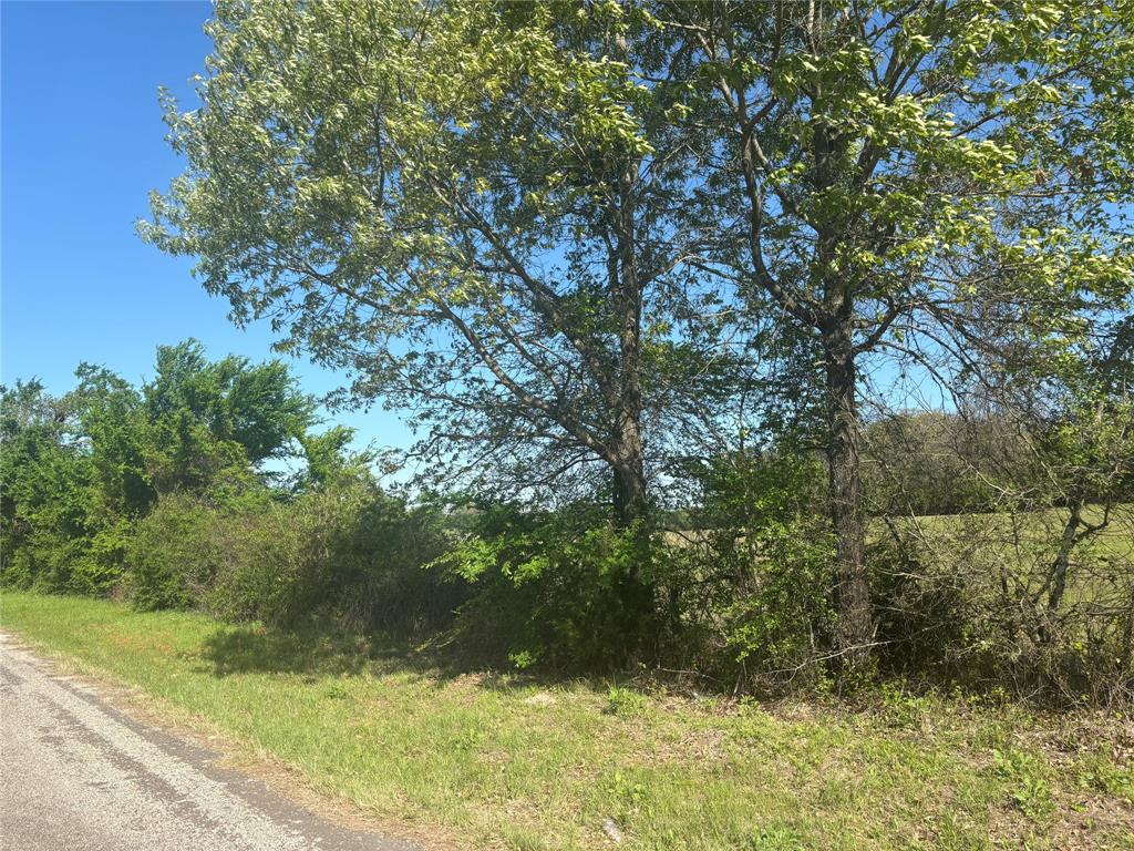 1800 Patterson Rd Property Photo 10