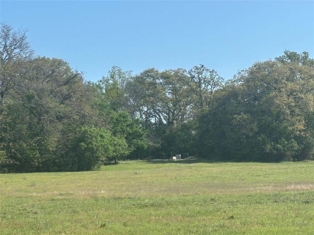 1800 Patterson Rd Property Photo 13