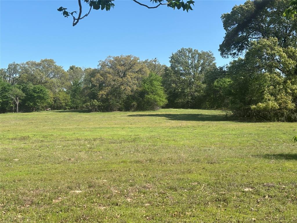 1800 Patterson Rd Property Photo 14