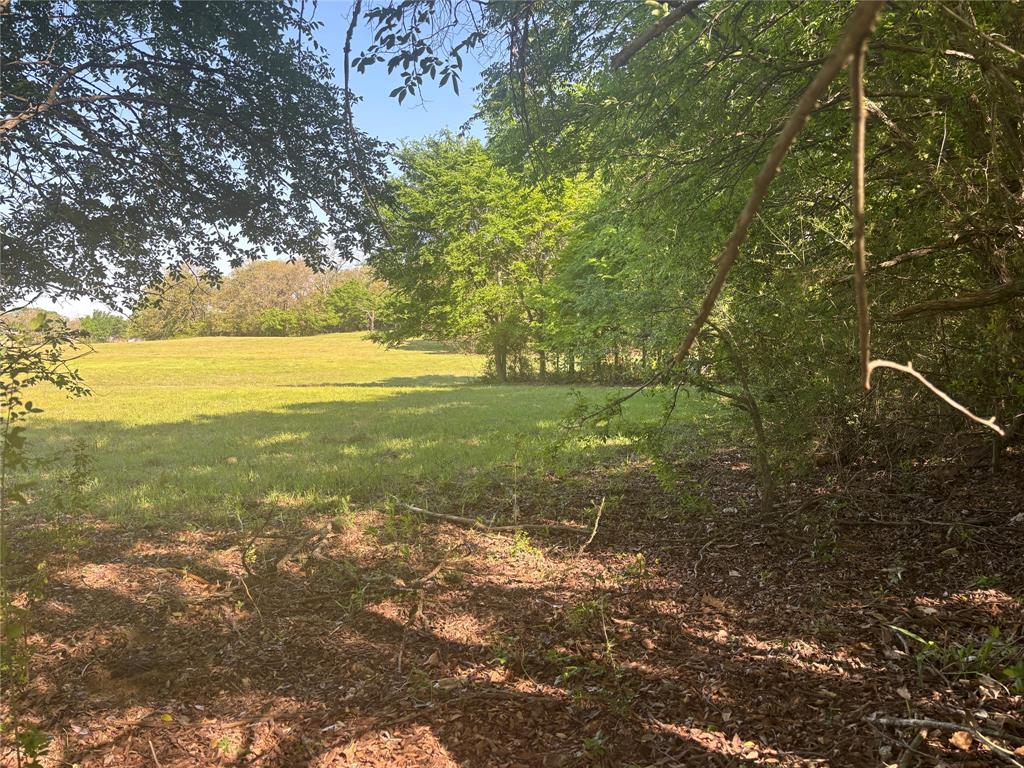 1800 Patterson Rd Property Photo 15