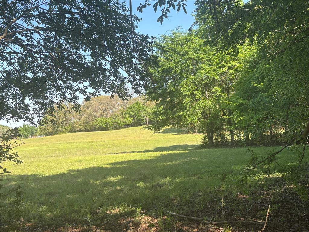 1800 Patterson Rd Property Photo 16