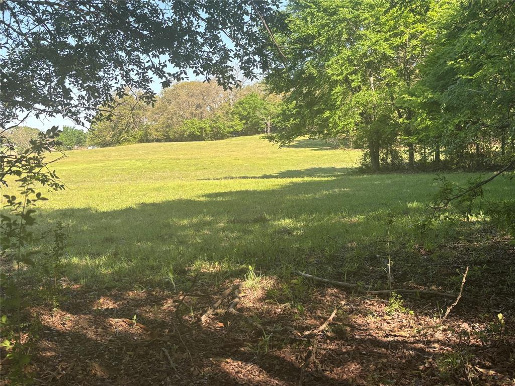 1800 Patterson Rd Property Photo 18