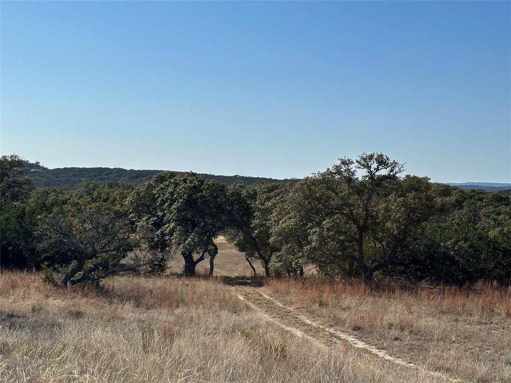 Lot 186 Blackbuck Ridge Drive Property Photo 6