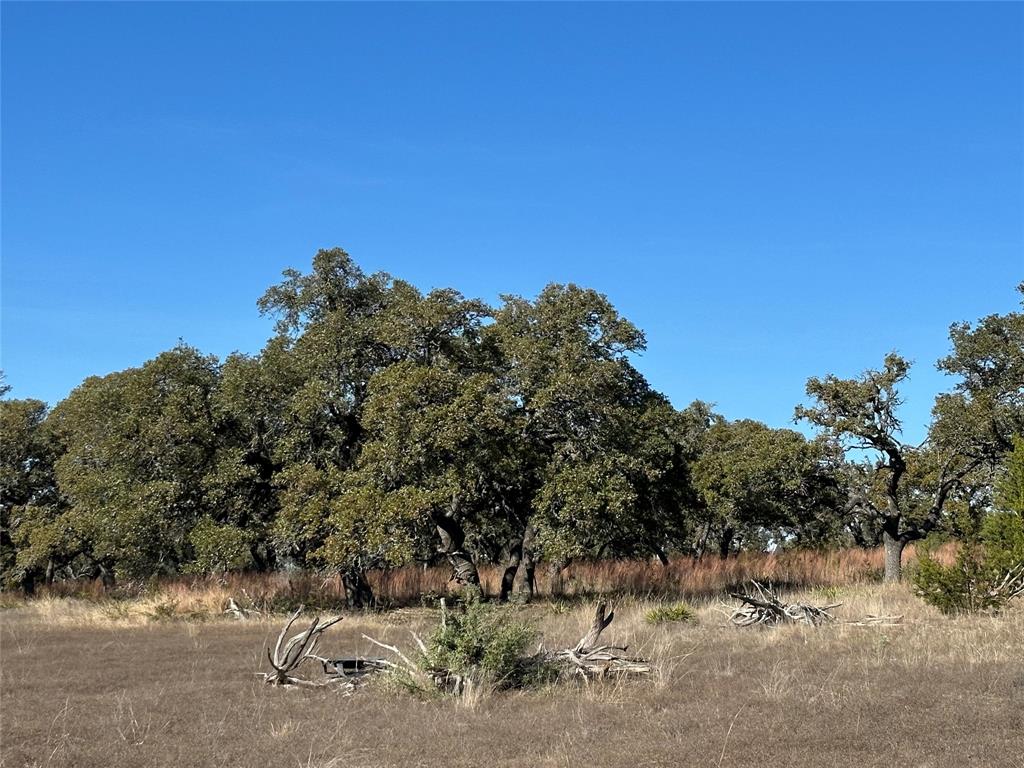 Lot 186 Blackbuck Ridge Drive Property Photo 13