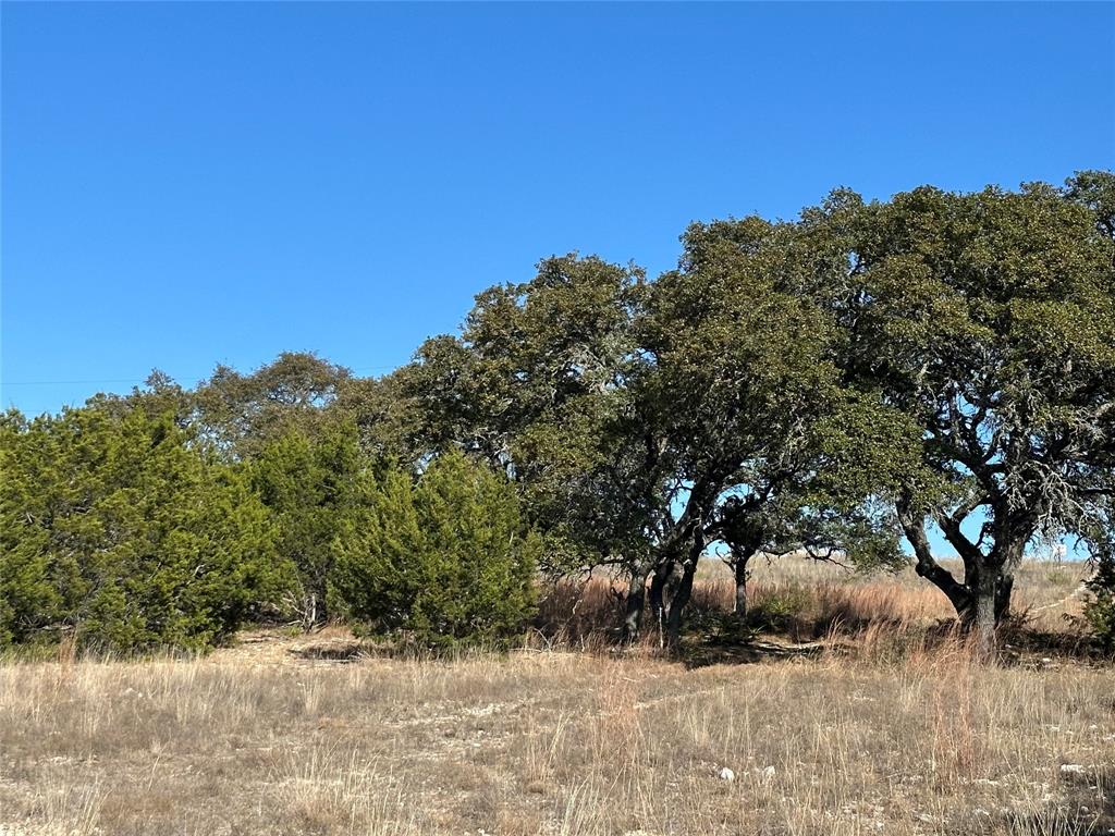 Lot 186 Blackbuck Ridge Drive Property Photo 14
