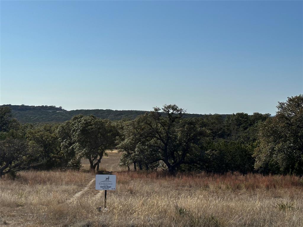 Lot 186 Blackbuck Ridge Drive Property Photo 22