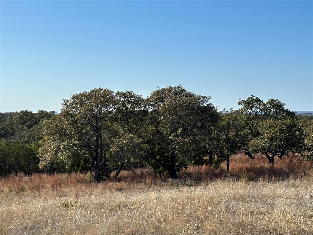 Lot 186 Blackbuck Ridge Drive Property Photo 23