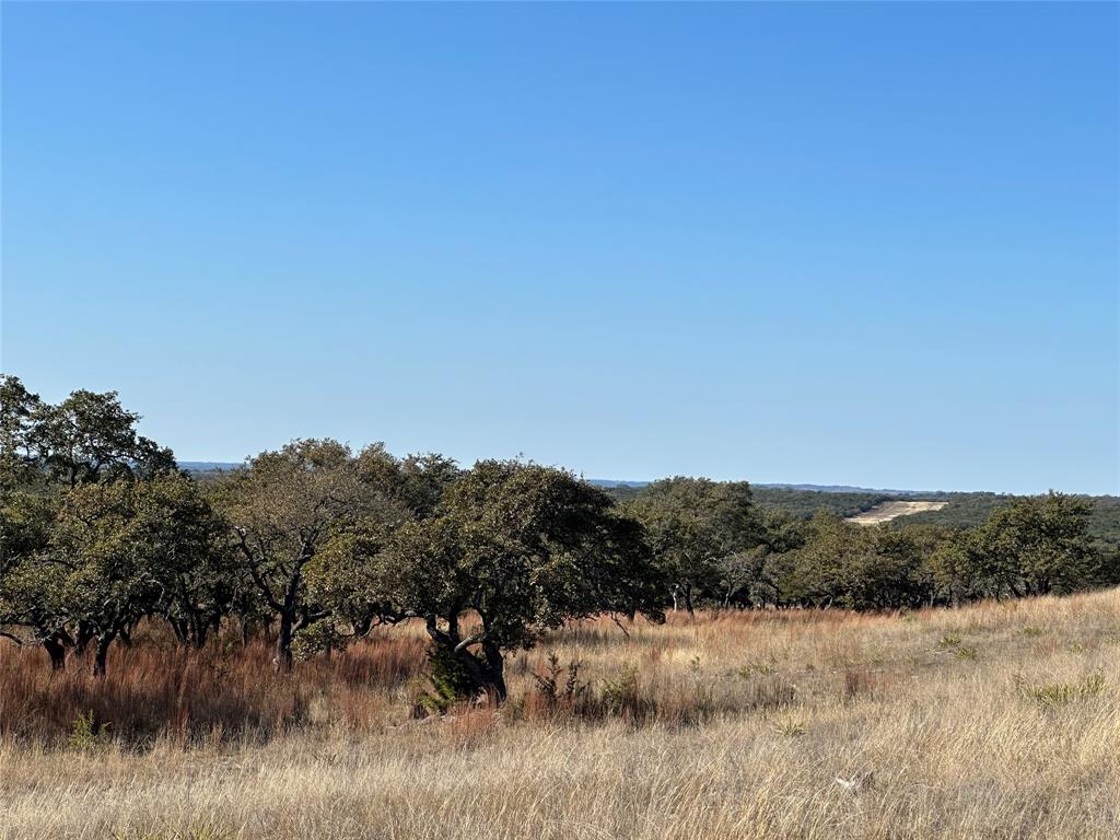 Lot 186 Blackbuck Ridge Drive Property Photo 26