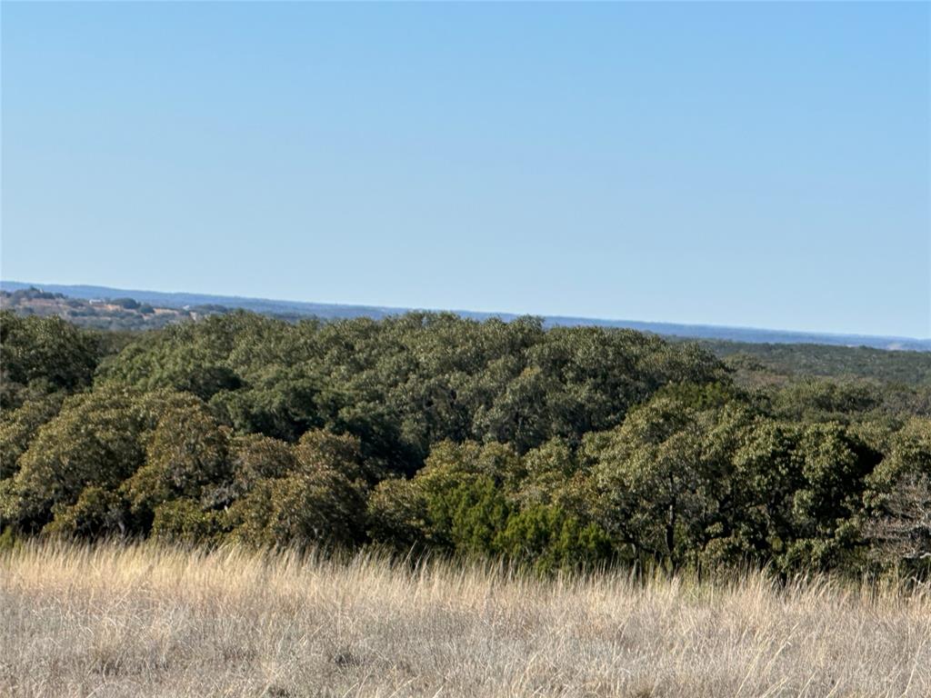 Lot 186 Blackbuck Ridge Drive Property Photo 27