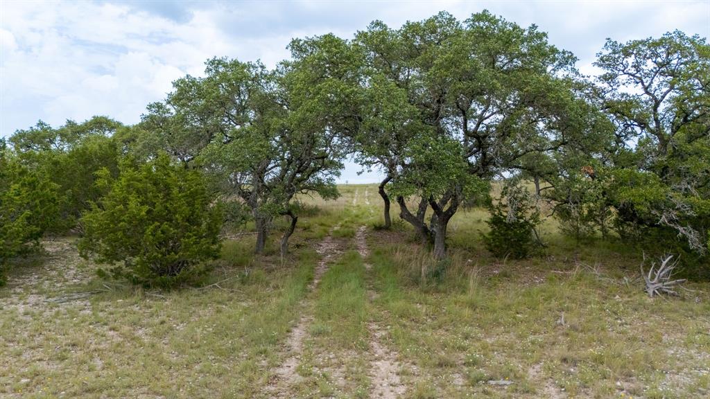 Lot 186 Blackbuck Ridge Drive Property Photo 30