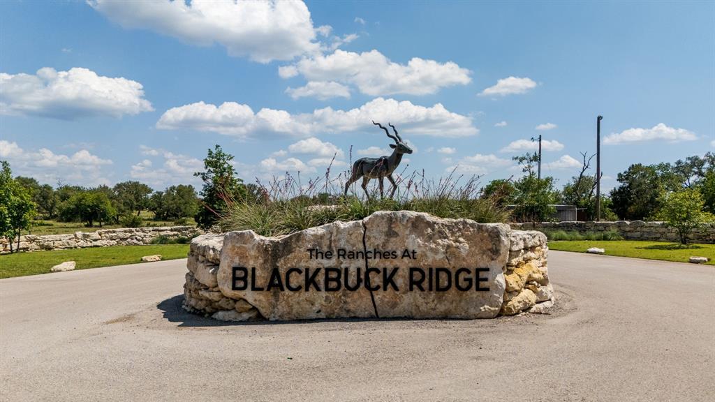 Lot 186 Blackbuck Ridge Drive Property Photo 31