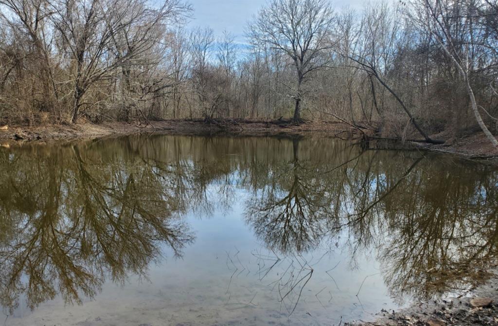 17812 W Fm 1567 Road Property Photo