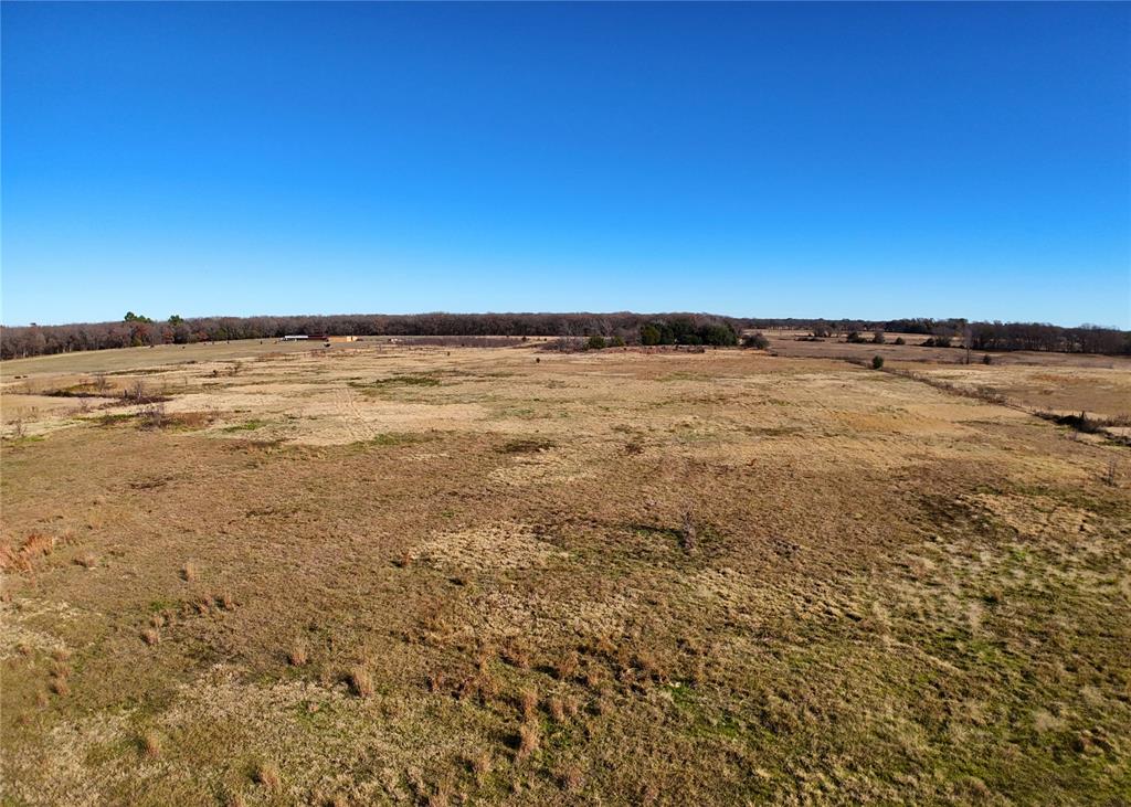 Tbd Fm Rd 1390 Property Photo 5
