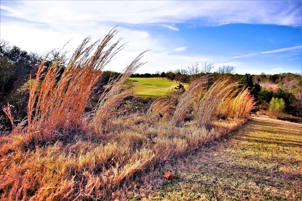 Lot 27a Coyote Creek Drive Property Photo 6