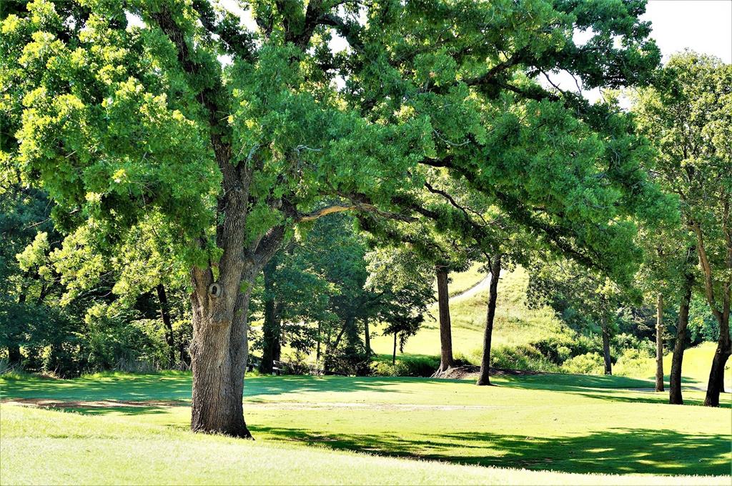 Lot 27a Coyote Creek Drive Property Photo 16