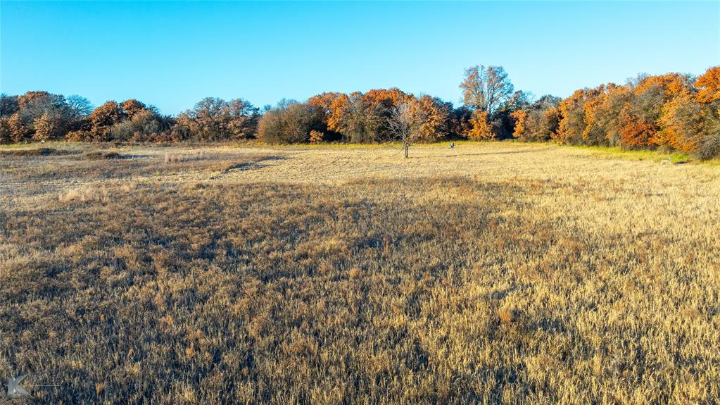 7380 County Road 266 Property Photo 17