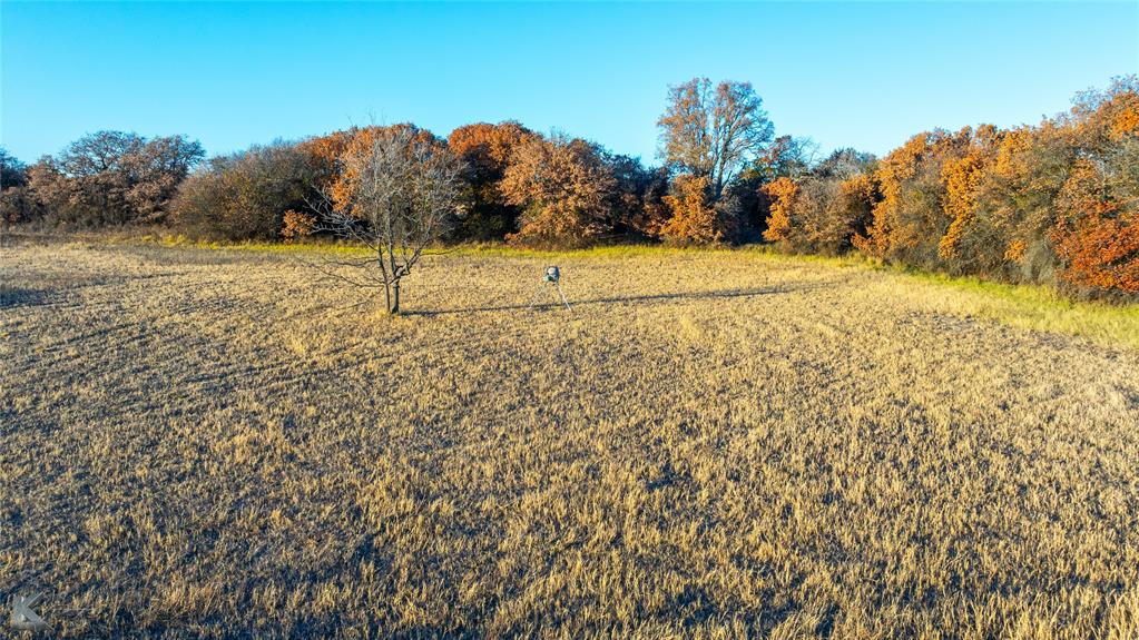 7380 County Road 266 Property Photo 18