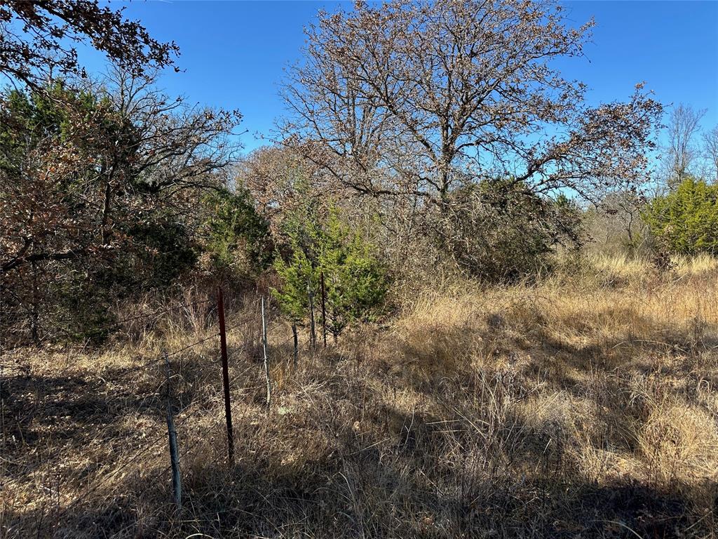102 Sean Lane Property Photo 4