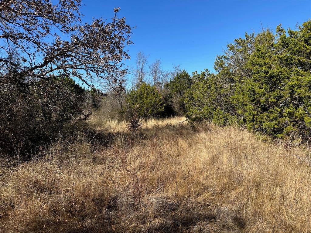 102 Sean Lane Property Photo 6