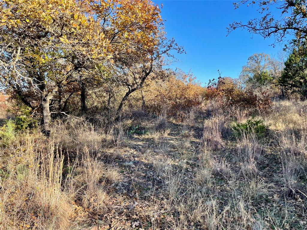 Lot 81 Hidden Shores Drive Property Photo 35