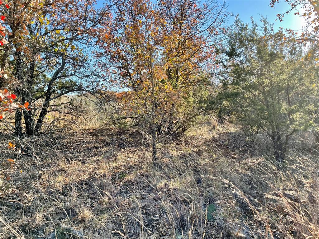 Lot 81 Hidden Shores Drive Property Photo 36