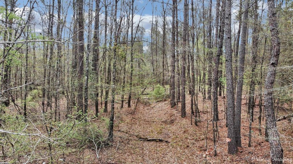 1248 Oliver Road Lot 2 Property Photo 1
